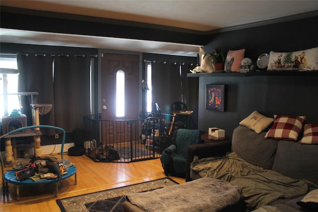 living room with light wood finished floors