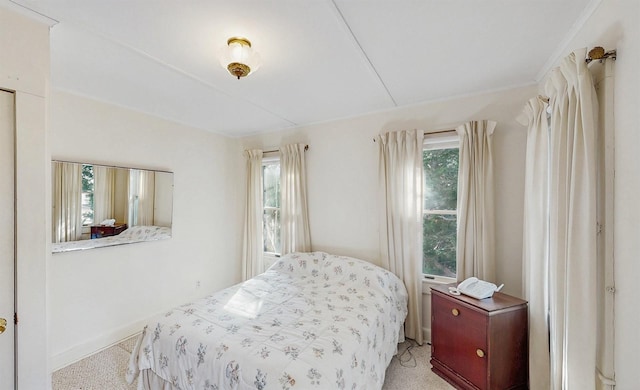 carpeted bedroom featuring multiple windows