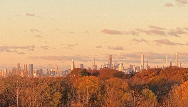 view of local wilderness with a view of city