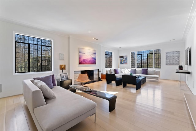 living room featuring crown molding and light wood finished floors