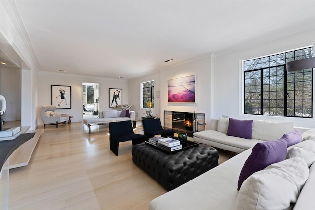 living area with light wood finished floors, ornamental molding, and a glass covered fireplace