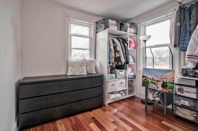 spacious closet featuring wood finished floors