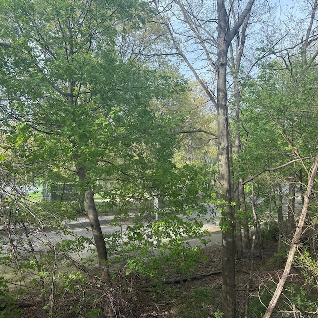 83-15 98th St Unit 3C, Woodhaven, NY 11421 - photo 12