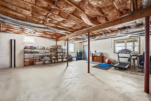 basement with plenty of natural light