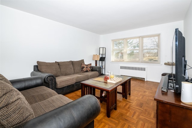 living room with radiator heating unit