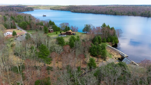 Lena Rd, Forestburgh, NY 12777 - photo 1