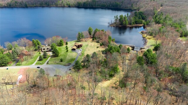 Lena Rd, Forestburgh, NY 12777 - photo 7