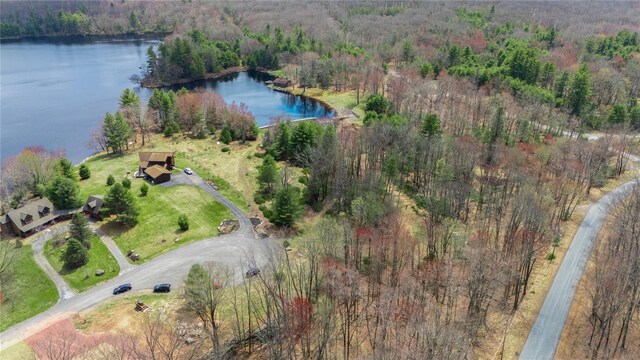 Lena Rd, Forestburgh, NY 12777 - photo 12