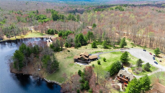 Lena Rd, Forestburgh, NY 12777 - photo 13