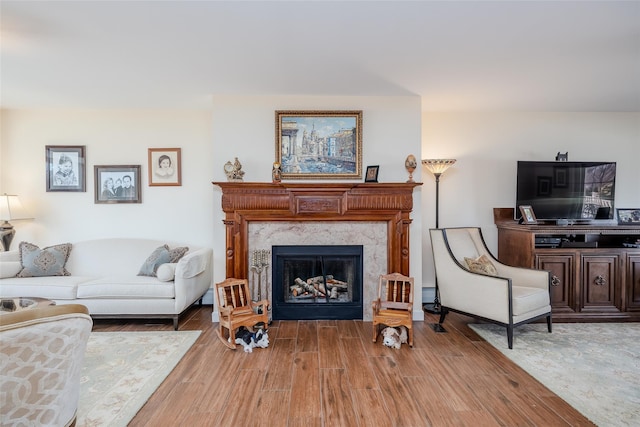 living area featuring a premium fireplace and wood finished floors