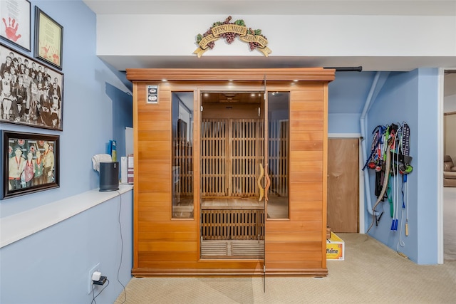 view of sauna / steam room with carpet flooring