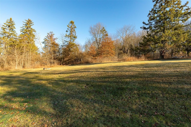 125 Cedar Hill Rd, Wappingers Falls, NY 12590 - view of grassy yard