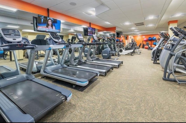 gym with a paneled ceiling and carpet