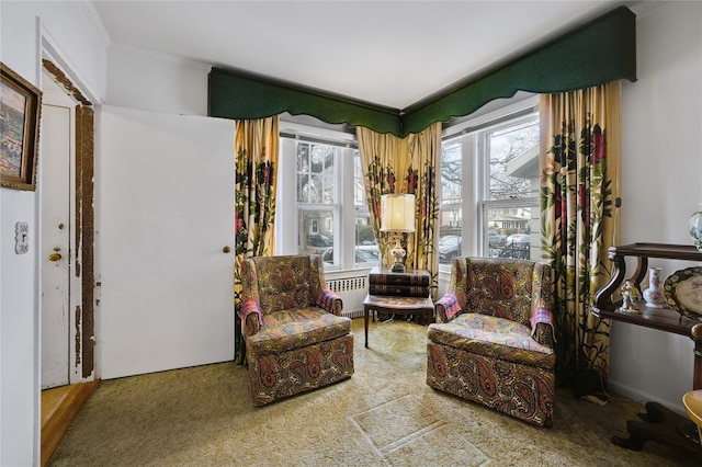 living area with crown molding, radiator, and carpet floors