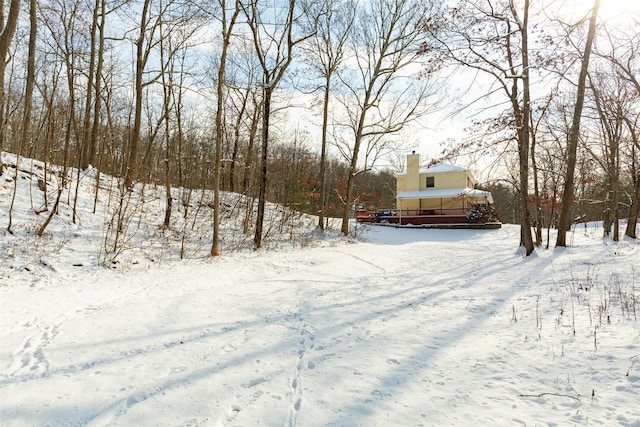 view of snowy yard