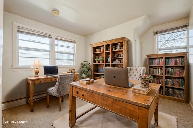 home office featuring a wealth of natural light