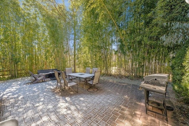 view of patio with outdoor dining space and grilling area