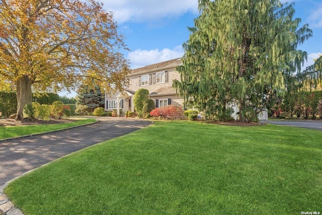 view of property hidden behind natural elements with driveway and a front lawn