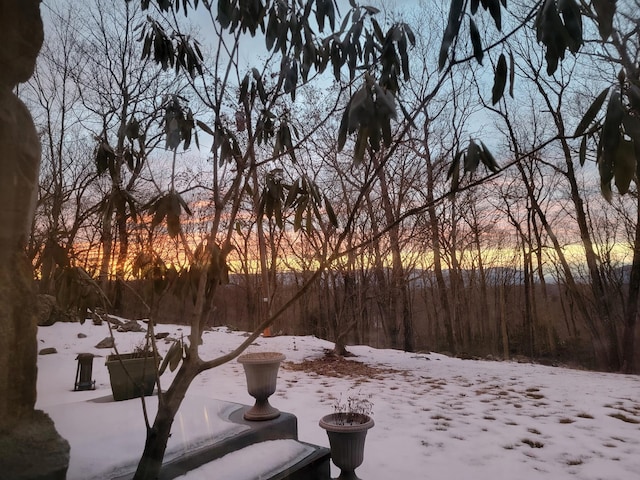 view of snowy yard