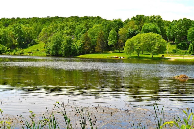 property view of water with a view of trees