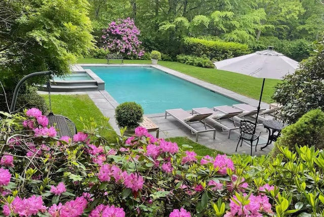 outdoor pool with a lawn and a patio