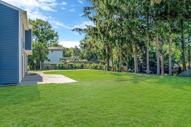 view of yard with a patio and a fenced backyard