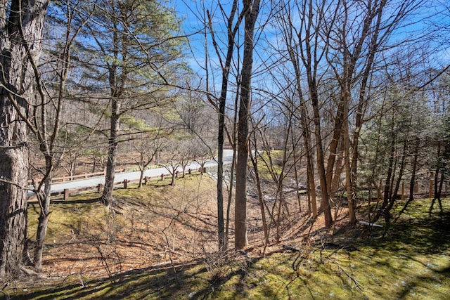 view of local wilderness featuring a forest view