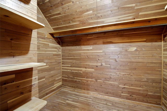 spacious closet featuring vaulted ceiling