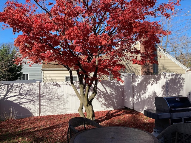 view of home's exterior with a fenced backyard