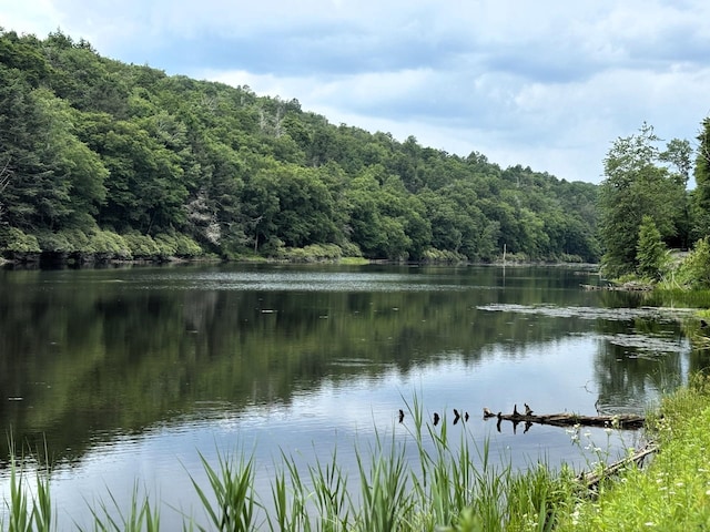 water view featuring a wooded view