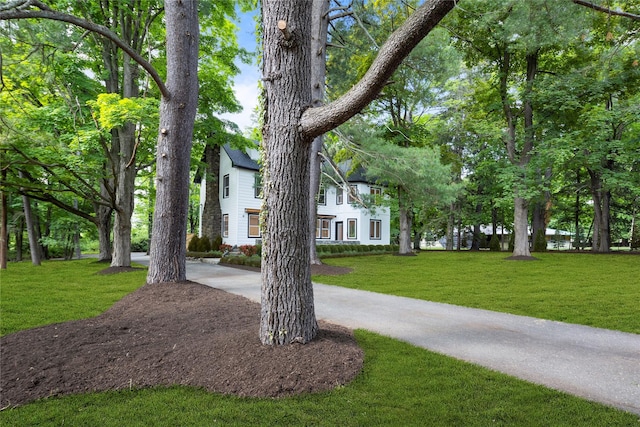 view of front facade featuring driveway and a front yard