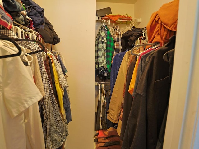 view of walk in closet