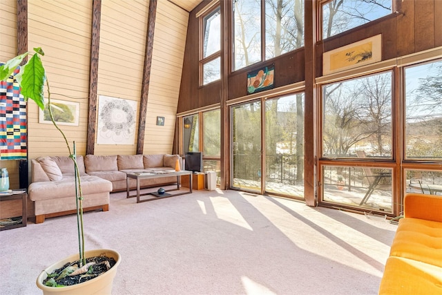 sunroom with a healthy amount of sunlight