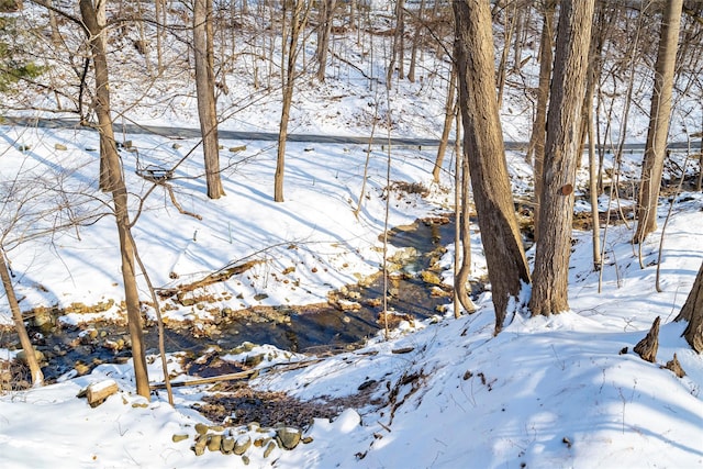 view of yard covered in snow