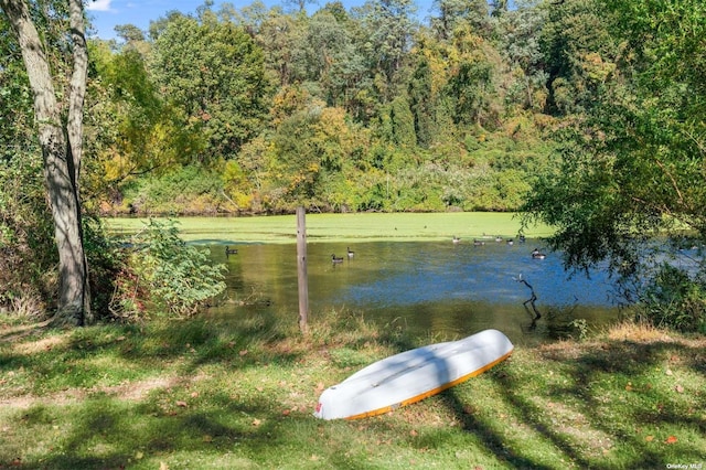 property view of water with a wooded view