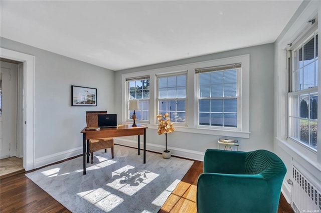 office with a healthy amount of sunlight, radiator heating unit, and dark wood finished floors