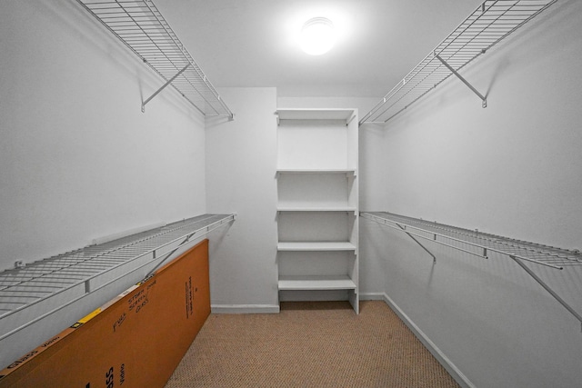 spacious closet featuring light colored carpet