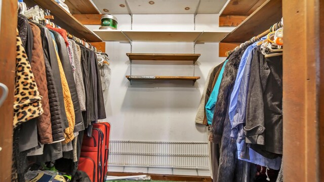 155 Shepard Dr, Southold, NY 11971 - view of walk in closet