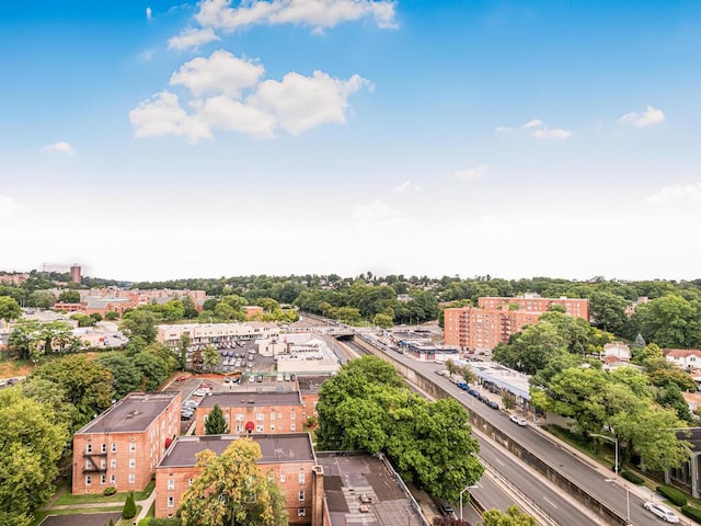 bird's eye view with a view of city