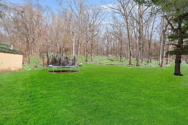 view of yard with a trampoline