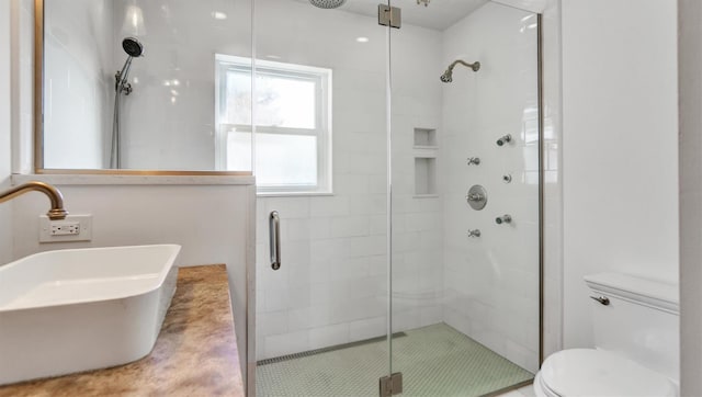 full bath featuring toilet, a stall shower, and a sink