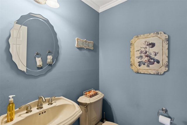 half bath with toilet, crown molding, and a sink