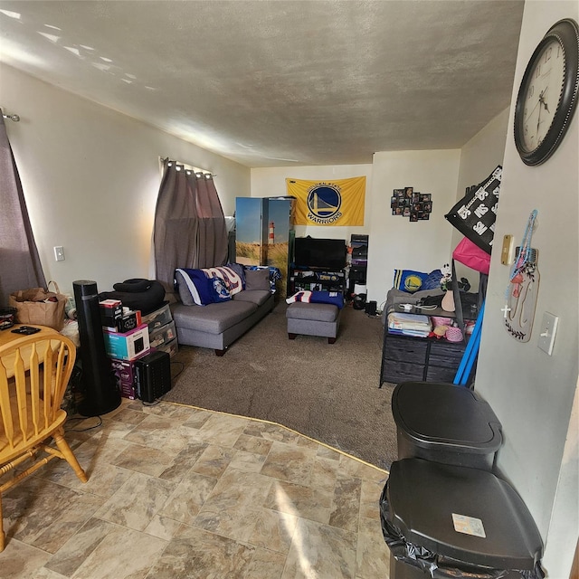 living area with a textured ceiling, stone finish floor, and carpet flooring