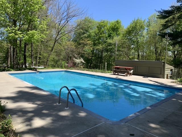 pool featuring a patio area, a jacuzzi, and a diving board