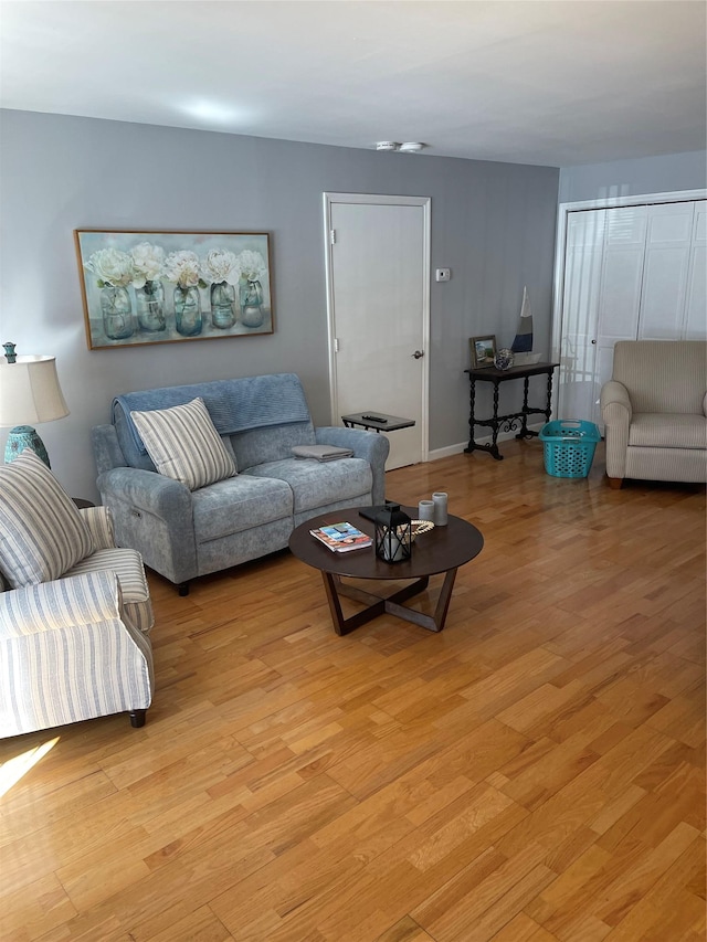 living room featuring light wood finished floors