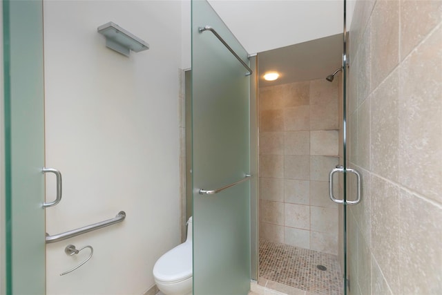 bathroom with a stall shower and toilet