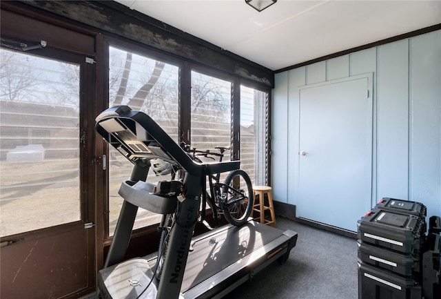 workout room featuring carpet flooring