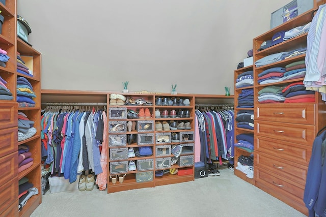 walk in closet featuring carpet floors