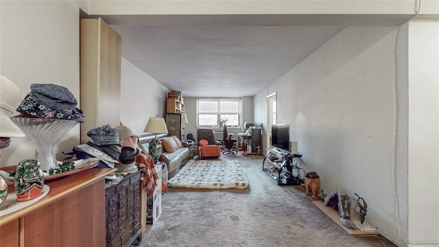 living room featuring carpet