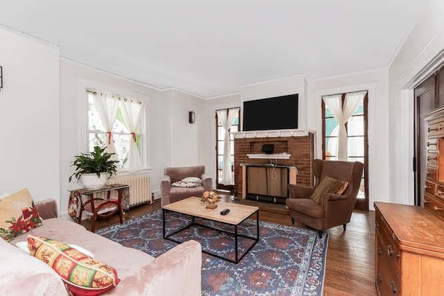 living room with dark wood-style floors, radiator, and a fireplace